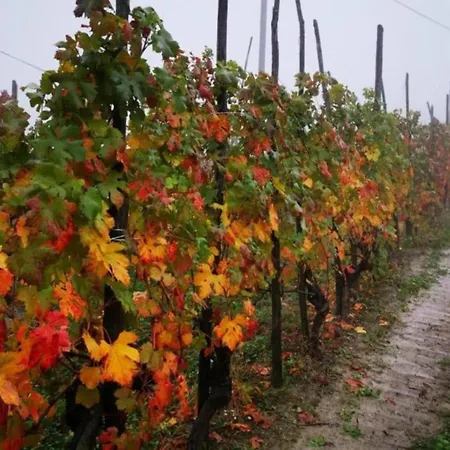 펜션 Mansion In Langhe With Pool And Winery Charm