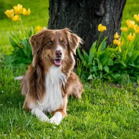 펜션 Mansion In Langhe With Pool And Winery Charm 바스티아몬도비