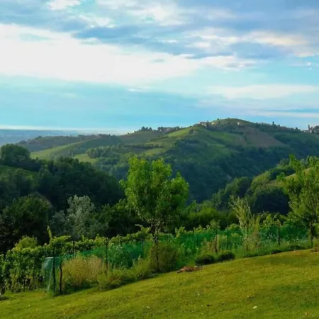 Mansion In Langhe With Pool And Winery Charm