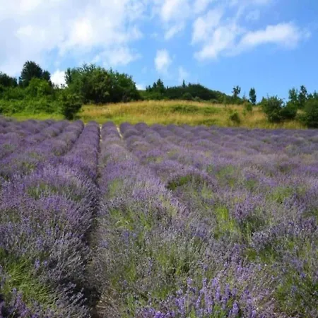 펜션 Mansion In Langhe With Pool And Winery Charm 바스티아몬도비